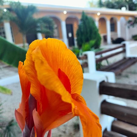 Villa Gabriela Celestun -Hotel & Restaurant 外观 照片