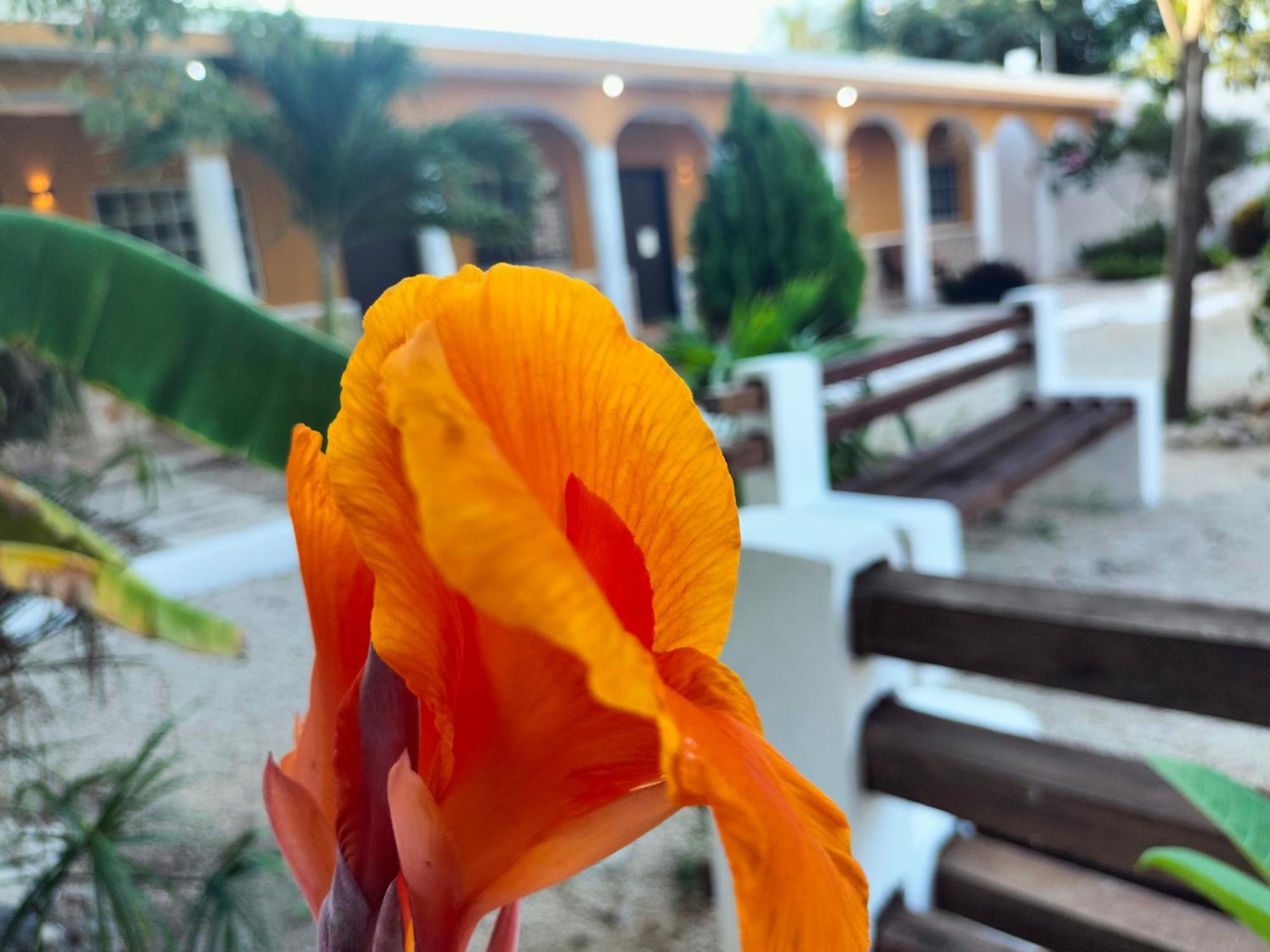 Villa Gabriela Celestun -Hotel & Restaurant 外观 照片