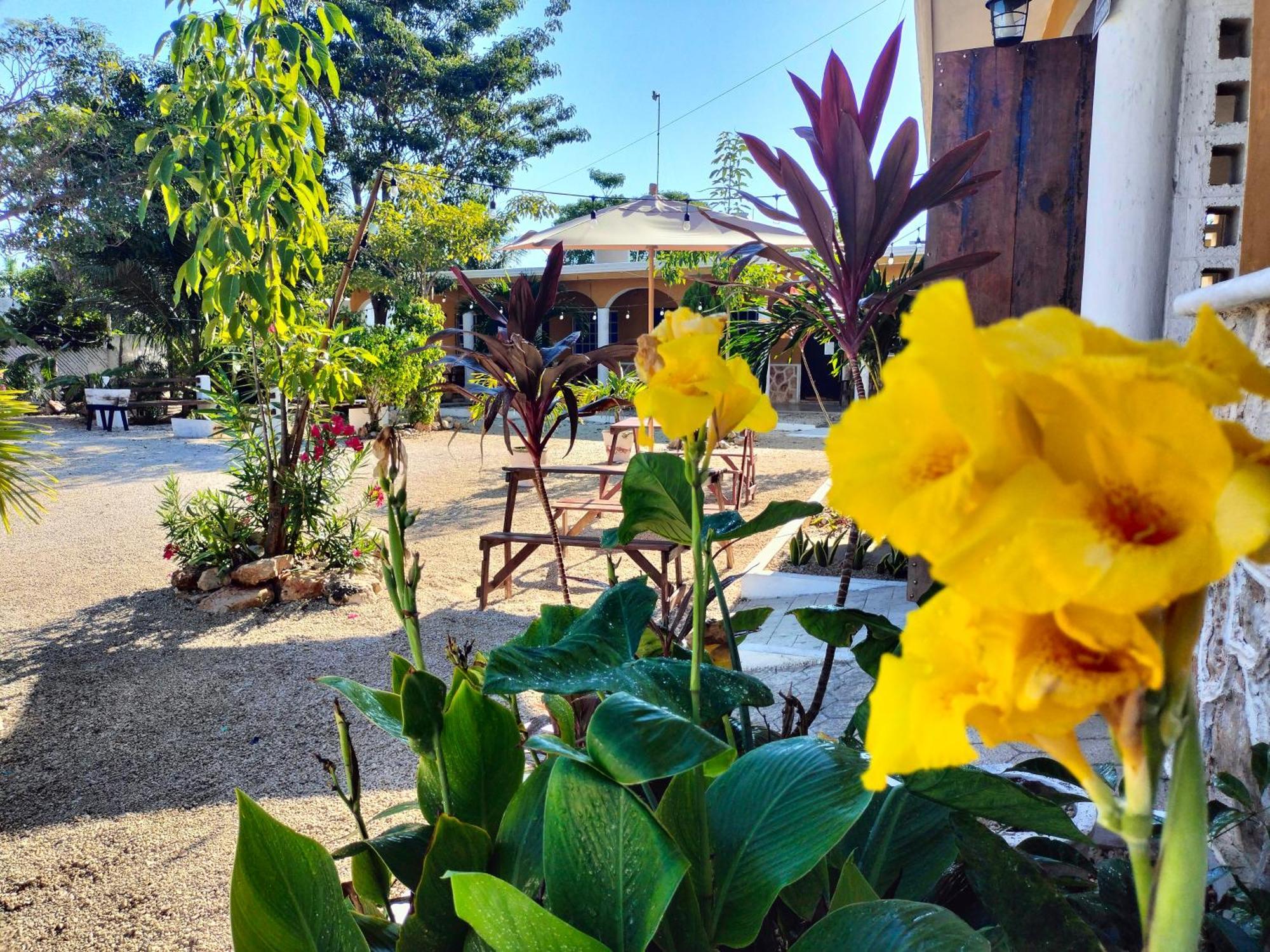 Villa Gabriela Celestun -Hotel & Restaurant 外观 照片